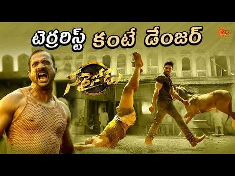 Allu Arjun Iconic Mass Intro Fight Scene | Sarrainodu | Srikanth | Rakul Preet Singh | Gemini TV