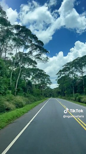 Discover the Splendor of Murchison Falls National Park