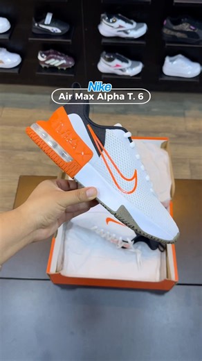 Zapatillas Nike Air Max Alpha Trainner 6 - FQ1833-109