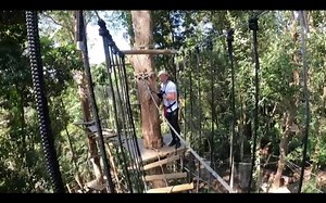 Channel 10's Josh Minogue decided to zip through the treetop challenge. Thanks for the epic feature 10Play 🤙 | Tree Top Challenge