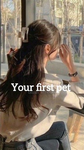 forgot to add animation 😭