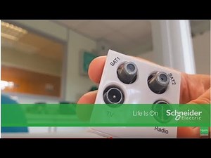 Quadplex Plate setup