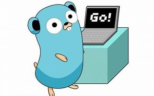 Go语言（基础 进阶 就业）