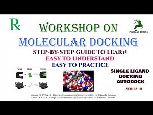 Workshop on Molecular docking - Single ligand docking - Series-3