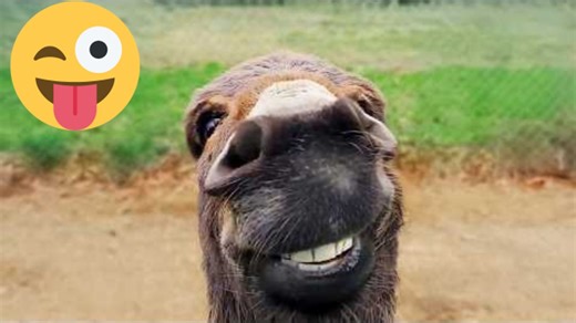 Top Viral Fails & Laugh Challenge Moments 😁 – Best of 2026