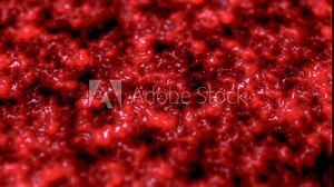 Texture of brain tissue, Organic surface and Blood vessels, animation 3D rendering