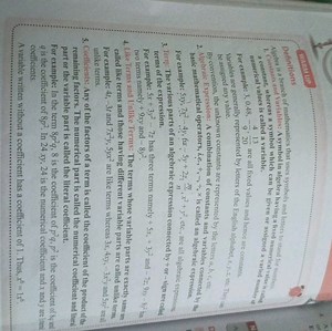 Definitions in Algebra:Algebra: A branch of mathematics using... | Filo