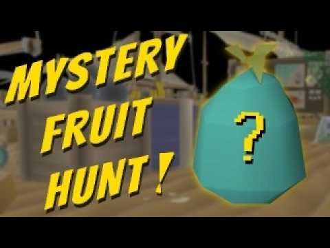 The Mystery Fruit! - Oldschool Runescapes Most Elusive Item!