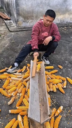 Corn shelling techniques, good tools can increase the skill of the craftsman