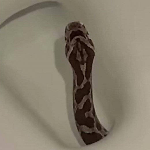 Fears we had when we were younger🤣 | Roblox | Luke Davidson