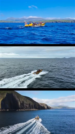 🌊 Hop Onboard with Dingle Sea Safari! 🚤✨ Experience the magic of Dingle Bay up close from playful dolphins and curious seals to puffins and breathtaking coastal views 🐬🦭🐦 There’s no better way to explore, learn, and make unforgettable memories than joining us onboard this season 💙 ✨ Book your adventure today and see Dingle from the water ✨ • www.dingleseasafari.com 📍 Dingle, Co. Kerry 🇮🇪 #dingleseasafari #discoverkerry #dingle #kerry #wildatlanticway | Dingle Sea Safari