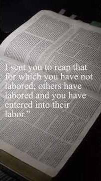 John 4:31–45 | The Fields Are White for Harvest | Savior of the World
