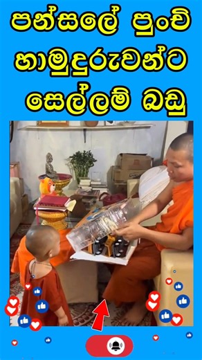 පුංචි මහාමුදුරුවන්ට සෙල්ලම් බඩු #buddha #shortvideo #love #shorts #dhammatv
