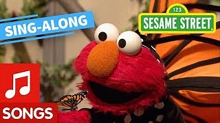 Sesame Street: Elmo's Butterfly Friend Lyric Video | Elmo's Sing Along Series