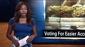 This reporter quit on air for legal pot – now she faces decades in prison