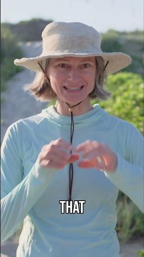 Rare Crystal Skipper Butterfly North Carolina's Secret Gem