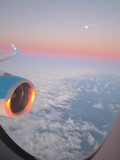 Découverte de French Bee : Mon vol vers Miami