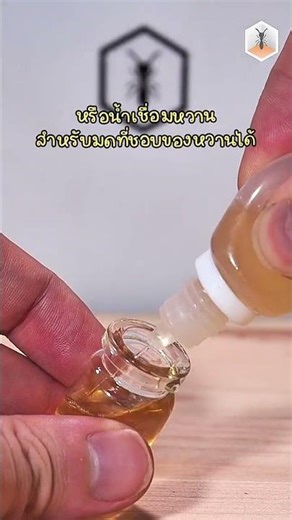 Ant Water Tower! ทาวเวอร์น้ำสำหรับมด!