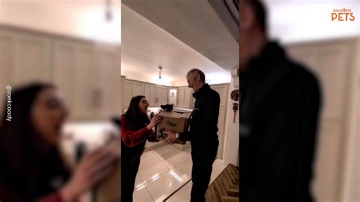 Watch the Heartwarming Moment a Dad Gets Surprised With a New Puppy