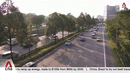 Number of diesel cars in Singapore to shrink rapidly by mid-2030s: Industry watcher