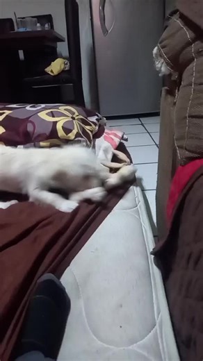 Videos de fernanda_martinez123 (@fernanda_.martines) con “STAY - The Kid LAROI & Justin Bieber”