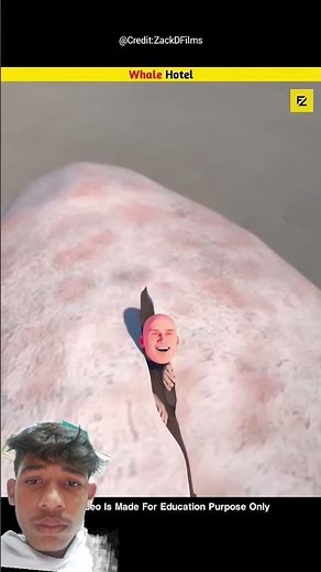 Whale experiment #bulma #shorts #fact