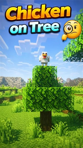 Why Is This Chicken on a Tree? 🧐🐔 #shorts #minecraft #trending #minecraftshorts #shortsfeed #java