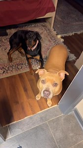 105K views · 5.9K reactions | And No Juice Till Yall Finished Eating 藍 #FixItJeezuh | Darryl’s World | Facebook