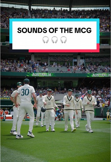Experience the Sounds of the MCG: Cricket ASMR
