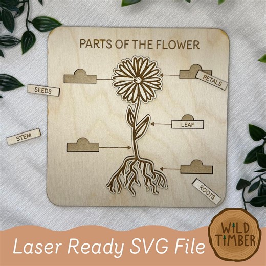 Montessori Parts of the Flower Puzzle SVG Classroom Laser Cut File (digital Download) - Etsy