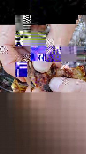 Sonny savors the flavors of grilled lamb meat in an Egyptian village. Cooked over open flames, this succulent dish captures the essence of local traditions and the warmth of community gatherings. A taste of authenticity from the heart of Egypt's countryside! #EgyptianVillageEats #GrilledLamb #LocalTraditions #CulinaryJourney #TasteOfEgypt #befrs #besteverfoodreviewshow | Best Ever Food Review Show