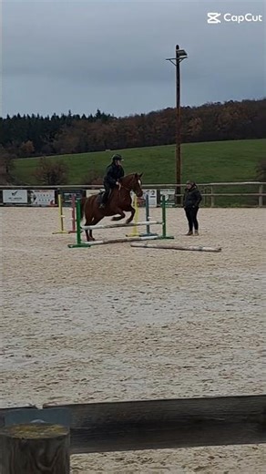 . #horse #equestrian #cavalier #equitation #cheval #pourtoi #foryou