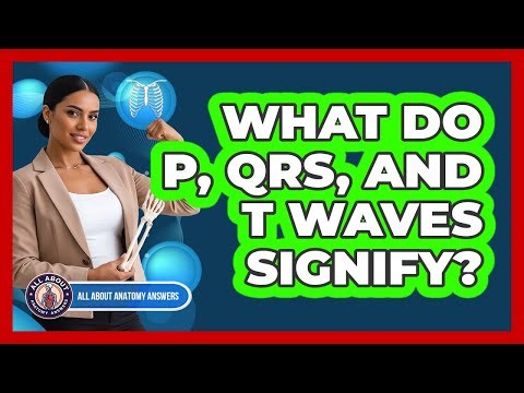 What Do P, QRS, and T Waves Signify?