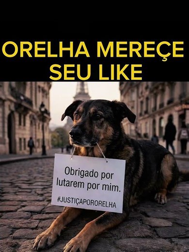 #justicapeloorelha