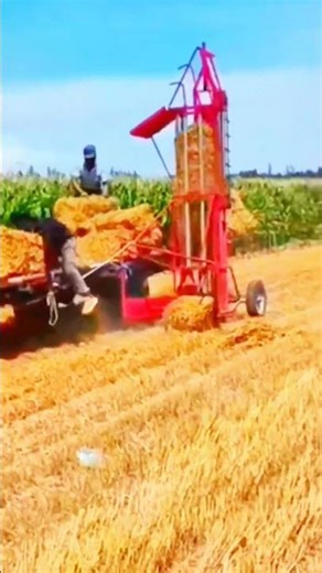 Machine bales straw—hand holds rhythm of field, stack, and harvest bonds true with crafted precision