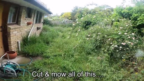 Garden Nightmare Transformation | Watch us Rescue this Courtyard