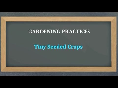 Agriculture Grade 4 Lesson 1