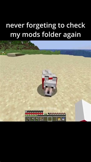 💀 Never Forget to Check Your Mods Folder... 😂 #minecraft #shorts