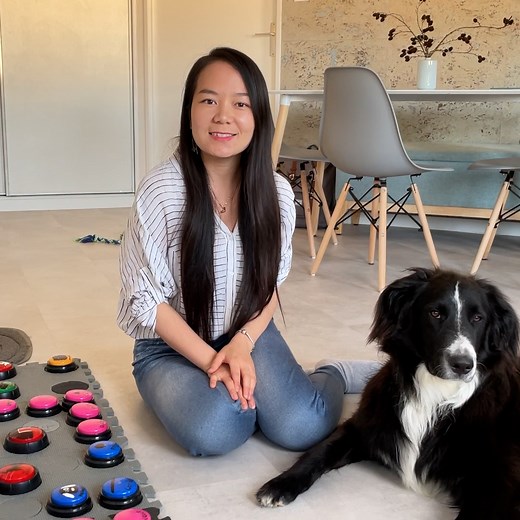 Coco est un chien qui parle ! Sa maîtresse, Meiyun Xu, doctorante en sciences du langage, lui a appris à communiquer grâce à une technique révolutionnaire ! 🐕 | Neo