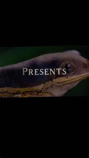 Trailer for Created #christian #creationism #atheism #evolution #bible #evangelism