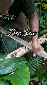 Getting fire with a wood saw #firesaw #primitivefirelighting #frictionfire #survival #firemaking #selfsufficiency #bushcraft #survivalfire | dalemgumino