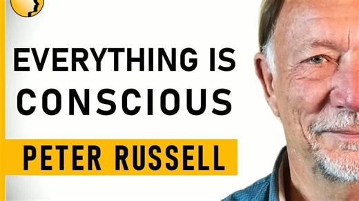 【哲学】（英音/双语字幕）剑桥物理学家解读“意识”奥秘｜对话Peter Russell