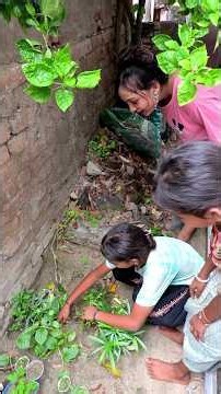 As long as they are not on their phones, right?😭❌🌿Disposable cups me papita uga rahe hain yeh log😭