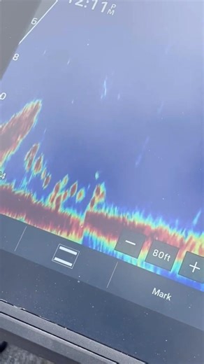 Garmin Livescope in Action #bassfishing #fishing #garmin #garminlivescope #shorts