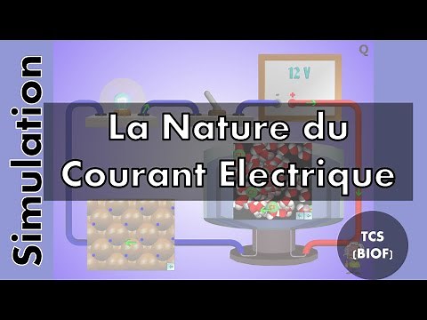 La nature du courant électrique (TCS BIOF)