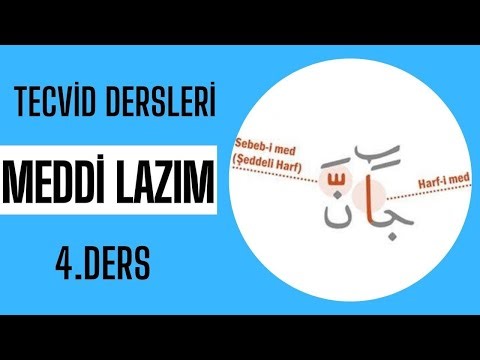 Tajweed Lessons | Lesson 4 | Meddi is Needed