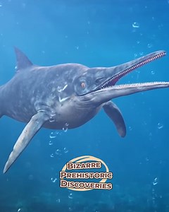 Unearth the Mysteries of Bizarre Prehistoric Creatures! | Origins Explained