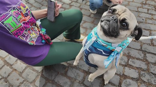 Portland Saturday Market returns for 52nd opening day