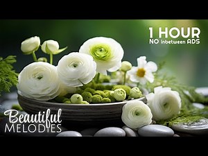 Peaceful & Inspiring Piano Music to draw, relax & study to 🎻✨ 1h Playlist