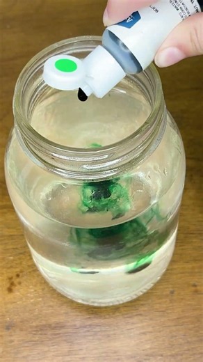 What Happens If You Grow Crystals on Bulbasaur? 👀